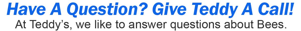 Teddys Bee Removal company logo with text asking if you have any questions regarding hive removal.
