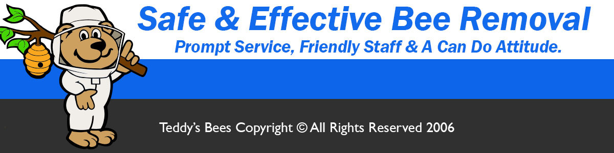 Teddy's Bee Removal logo with a Teddy Bear performing a hive removal.