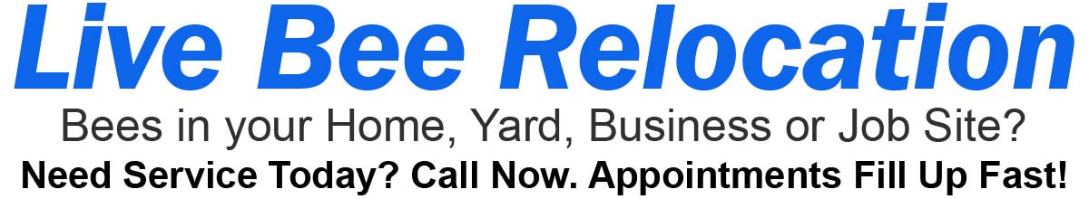 Live Bee Relocation. Bees in your home, yard, business or job site? Need service today? Call now. Appointments fill up fast!