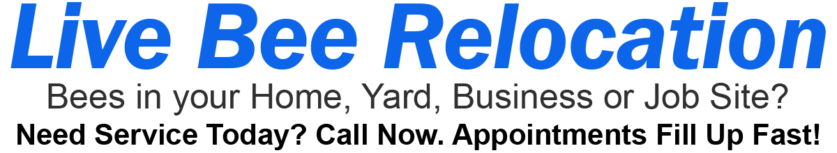 H1 Live Bee Relocation. Bees in your home, yard, business or job site? Need service today? Call now. Appointments fill up fast!